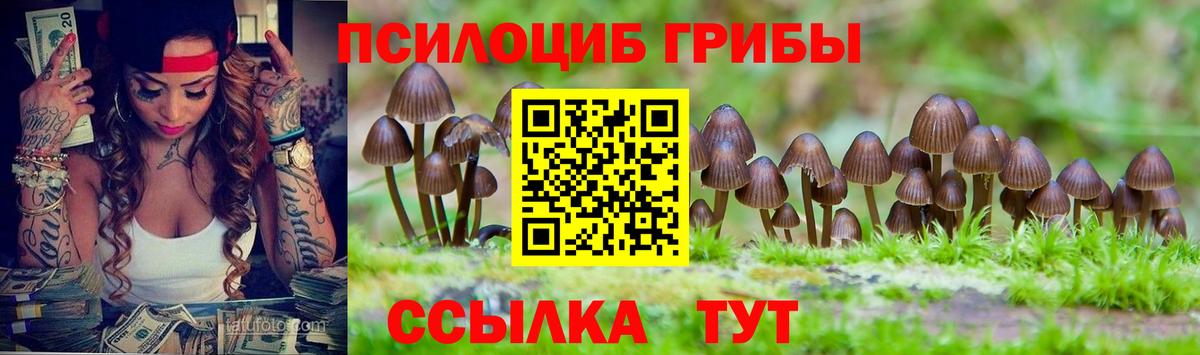 Камышлов  Галлюциногенные грибы мухоморы  Вход с VPN 